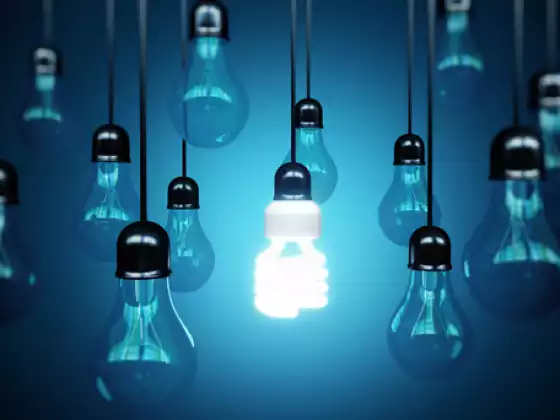 Energy Leadership