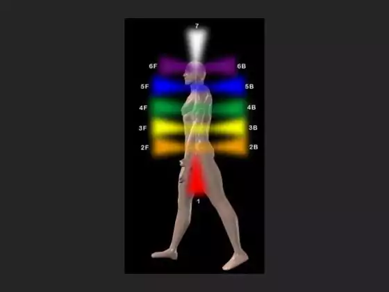 The Basics of the Chakras