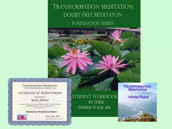 Transformation Meditation: Doubt Free Meditation Foundation Series (5 sessions)