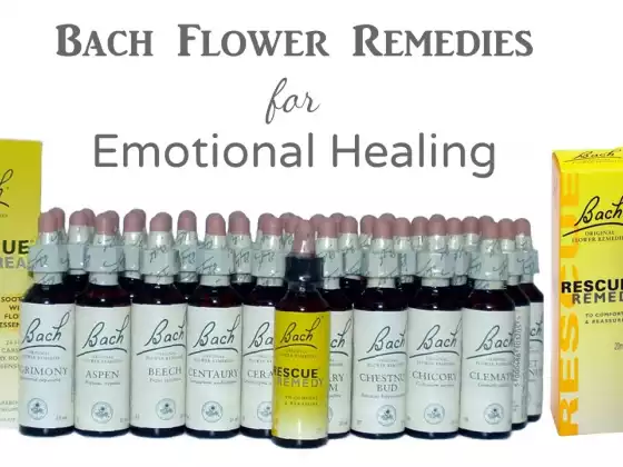 Bach Flower Remedies for Emotional Healing 101