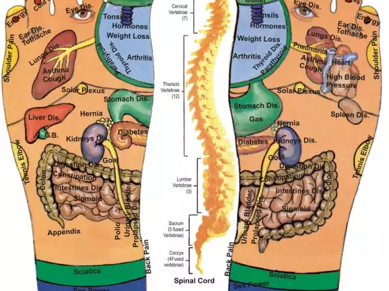 Reflexology: Healthy Feet, Healthy Body