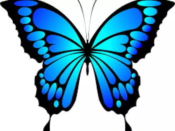 Butterfly Clan: A Class for Healers and Teachers