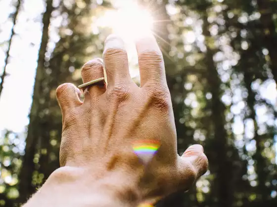 Reiki zwei Trainingskurs 5. März Online-Option