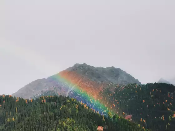 Apprenez à voir les auras