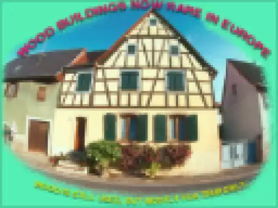2023 ALBERO BASE - Classe 1 - 2023 -15