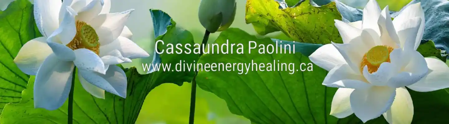 Cassaundra Paolini - Health & Wellness, Meditation, Spirituality, Spiritual Development, Energy Healing, Qigong, Yoga, Personal Development & Coaching, Consciousness  Profile Banner