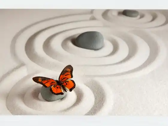 Activating Miracles Guided Meditation - Multilingual