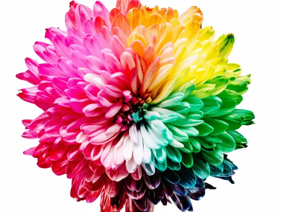 Energy Healing for our Chakras