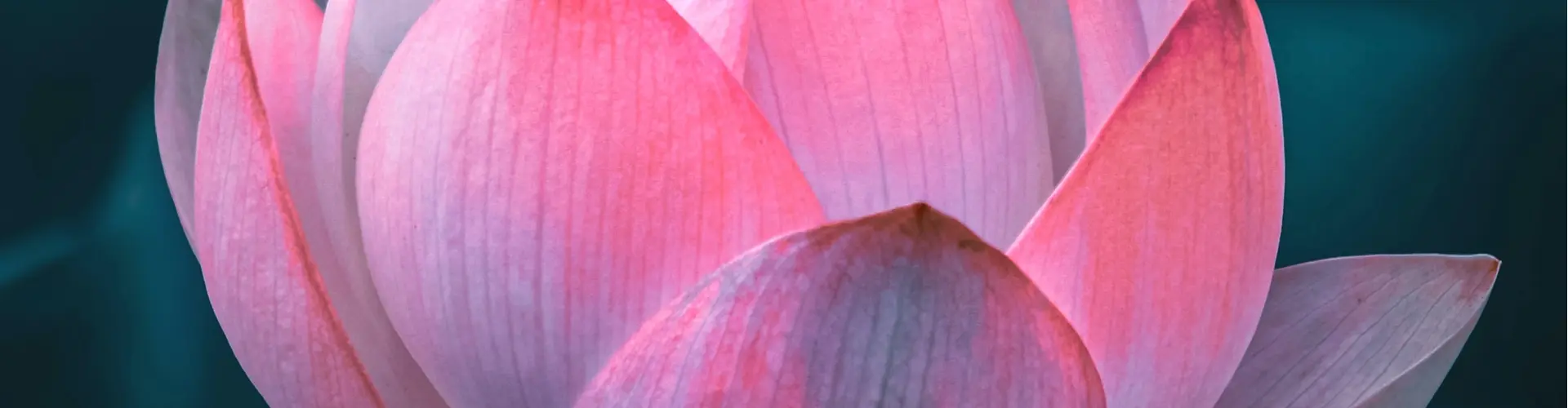 Reiki Mastership Weekend - Online Class by Jamie Butler