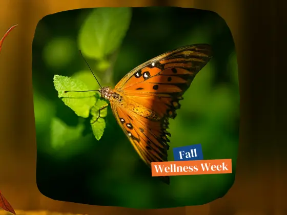 Embracing Transformation: The New Moon and Inner Resilience